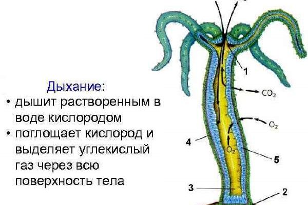 Кракен kr2web in сайт официальный